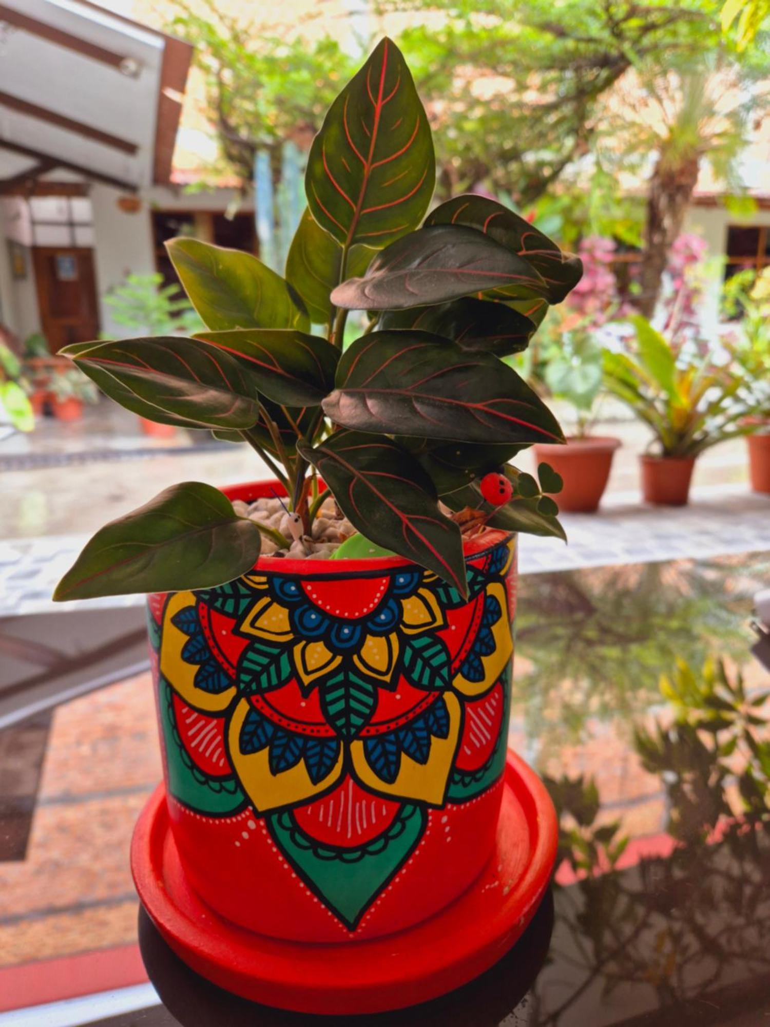 Country Club Eco Casajardin Ξενοδοχείο Moyobamba Εξωτερικό φωτογραφία